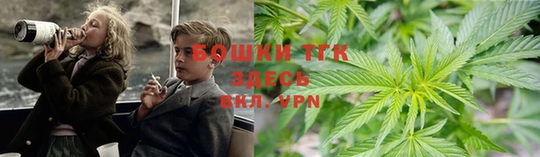 гашик Нягань