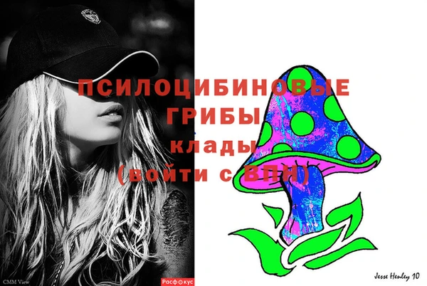 бошки Новодвинск