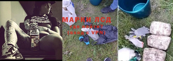 гашик Нягань