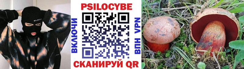 Псилоцибиновые грибы Magic Shrooms сколько стоит Катав-Ивановск